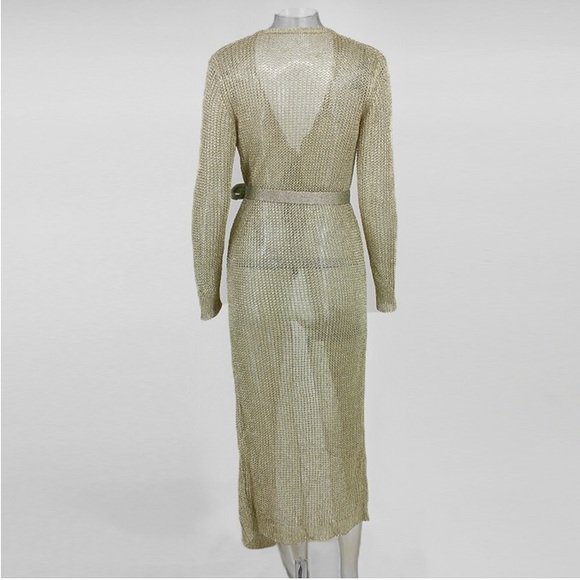 NEW! Gold Mesh Cover-up Dress - Picture 6 of 8